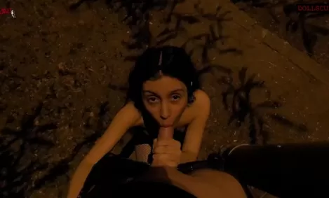 Поп жұлдыздарының порно видеолары